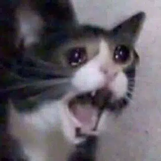Inkky, the screaming cat meme, mouth wide open